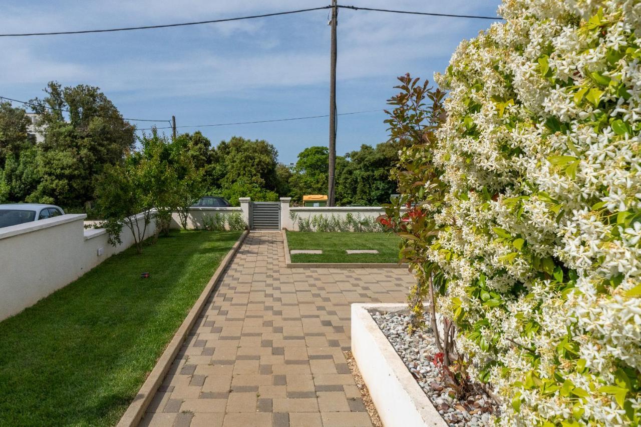 Villa Mirela Петркане Екстериор снимка